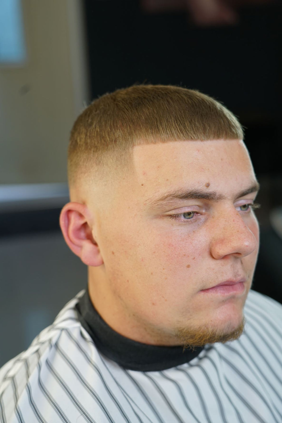 Phullcutz: Boxer mit Line Up Puder Banner